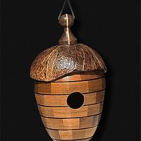 From Coconut To Birdhouse