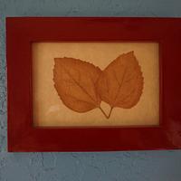 Pressed leaves in frame. - Project by Madts