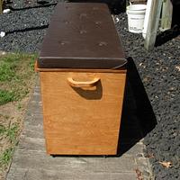 Sstorage Box/Bench