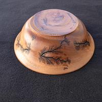 Last Eucalyptus Bowl