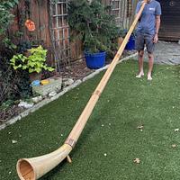 The Alphorn Experiment - Project by Lazyman