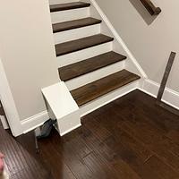 Dog gate