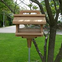 Bird Feeder