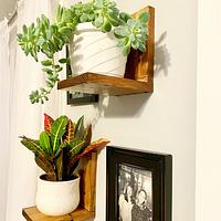 Wooden Plant Shelves - Project by Emily