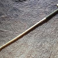 New Cane