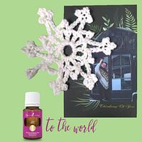 Diffuser Snowflake  - Project by MsDebbieP