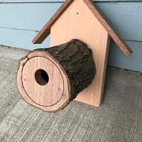 Log birdhouse - Project by Scott