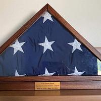 FLAG CASES