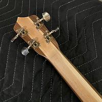 No. 31 Oakiook (Wacky-uke)