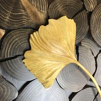 Falling Ginkgo leaf