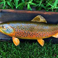 Brown Trout Replica - Project by Danny Cowan