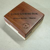 Lubin Locking Box