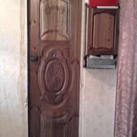 door panel samples