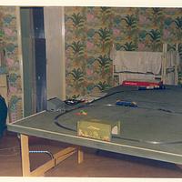 Didn’t like the pink elephants.