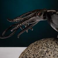 Squid!