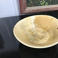 Boxelder bowl