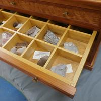 Rock and sea shell display cabinet