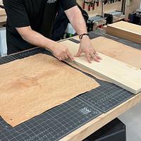 Door Marquetry