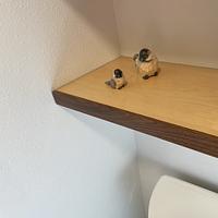 Shelves for WA House Bathroom Remodel