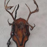 Rosette for roe deer horn and deer horn.