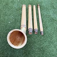 The Alphorn Experiment