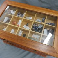 Rock and sea shell display cabinet