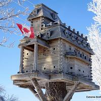 Extreme Birdhouses! Winter Time in Belgrave!