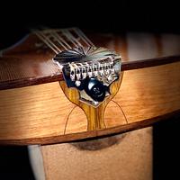 Mandolin