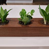 Succulent/Cactus/Miniature-plant Planter