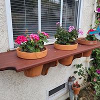 Ipe Plant Shelves