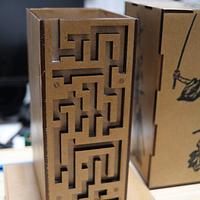 Maze Box Puzzle VII.