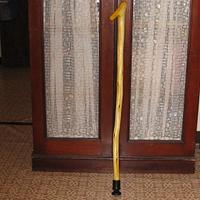 WALKING STICK MADE FROM BOAGAINVILLIA GROWING IN MY BACK YARD - Project by CLIFF OLSEN