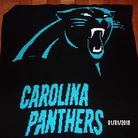 Carolina Panthers graphghan - Project by Charlotte Huffman