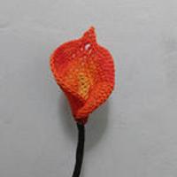 Mini Flame Calla Lily