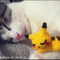 Sleepy Pikachu Amigurumi - Pokemon - La Calabaza de Jack