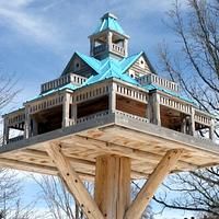 Extreme Birdhouses - Project by John L