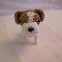 JACK RUSSELL TERRIER - Project by Sherily Toledo's Talents