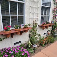 Ipe Plant Shelves - Project by Pottz