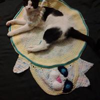 kitty bed/rug inspired by button blankie - Project by airam