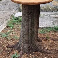 GARDEN TABLE TOP