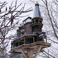 Extreme Birdhouses! Winter Time in Belgrave!