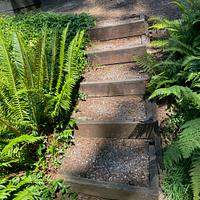New Steps to Our Veggie Garden