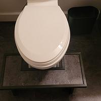 Toilet stools