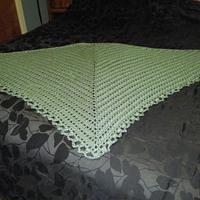 Plain Green Shawl - Project by Txoldlady56