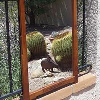 Mesquite Mirror Frame w/ G&G details