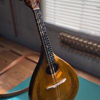 Celtic Style Mandolin - Project by Rhoots 