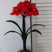 Amaryllis Flower Pattern