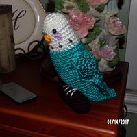 Budgie - Project by Charlotte Huffman