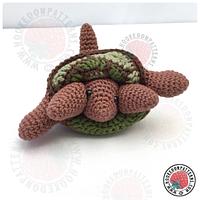 Hideaway Turtle Coaster Sets