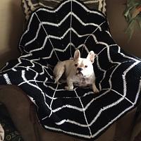 Spider web afghan - Project by Sharon